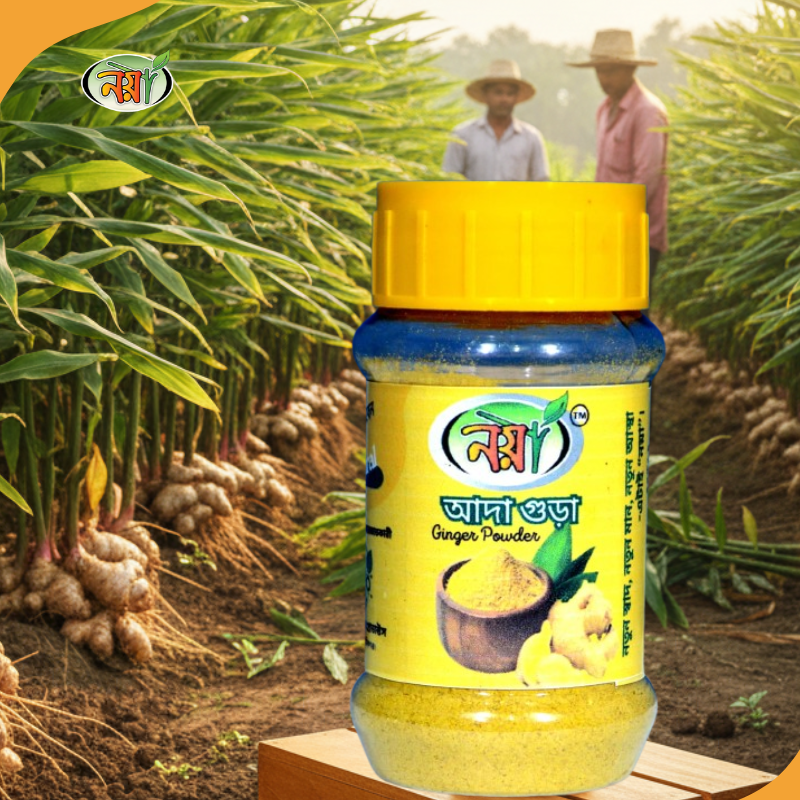 আদা গুঁড়া