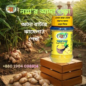 আদা গুড়া